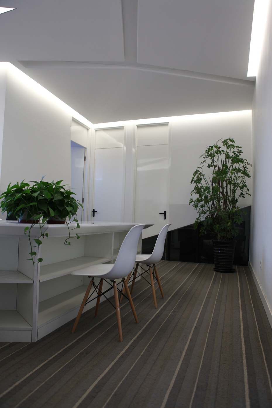 上海辦公室裝修公司綠植擺放設(shè)計(jì)-第3張圖片-上海古都建筑設(shè)計(jì)集團(tuán) 上海辦公室裝修公司綠植擺放設(shè)計(jì)-第3張圖片-上海古都建筑設(shè)計(jì)集團(tuán)